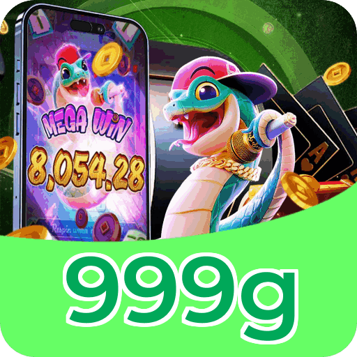 Interface 999g